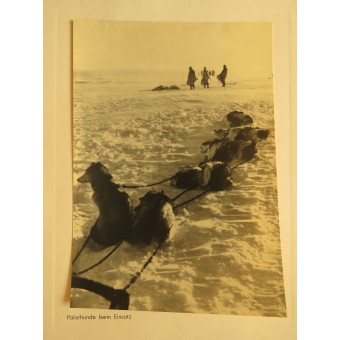 Eismeerfront 1942-43 Illustrierte Mappe mit 19 Fotos.. Espenlaub militaria